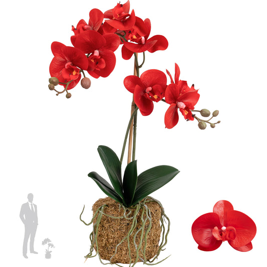 Orhidee artificiala rosie cu aspect natural H52 cm cu 2 tulpini