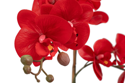 Orhidee artificiala rosie cu aspect natural H52 cm cu 2 tulpini