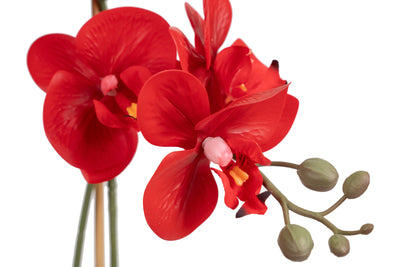 Orhidee artificiala rosie cu aspect natural H52 cm cu 2 tulpini