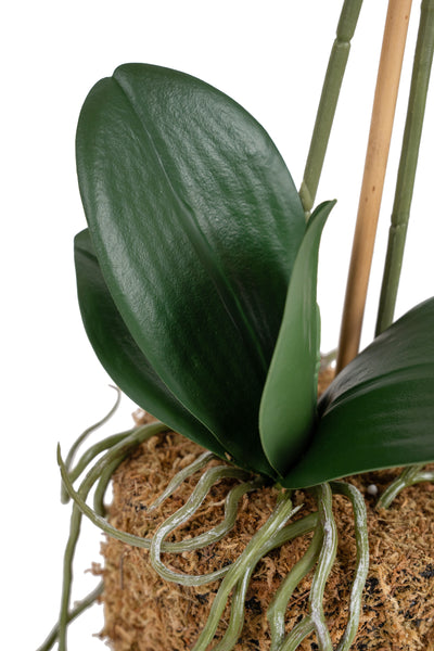 Orhidee artificiala rosie cu aspect natural H52 cm cu 2 tulpini