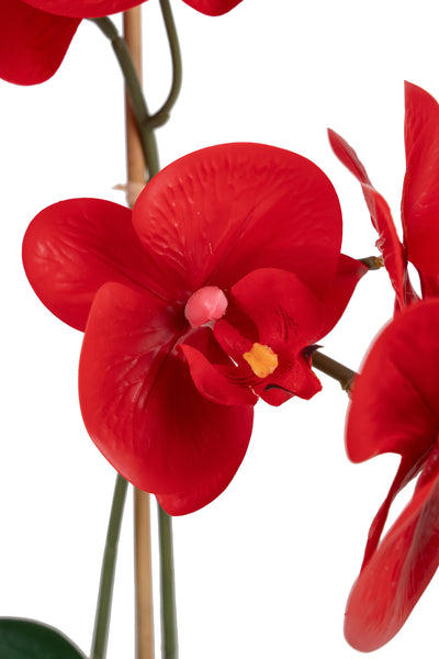 Orhidee artificiala rosie cu aspect natural H52 cm cu 2 tulpini