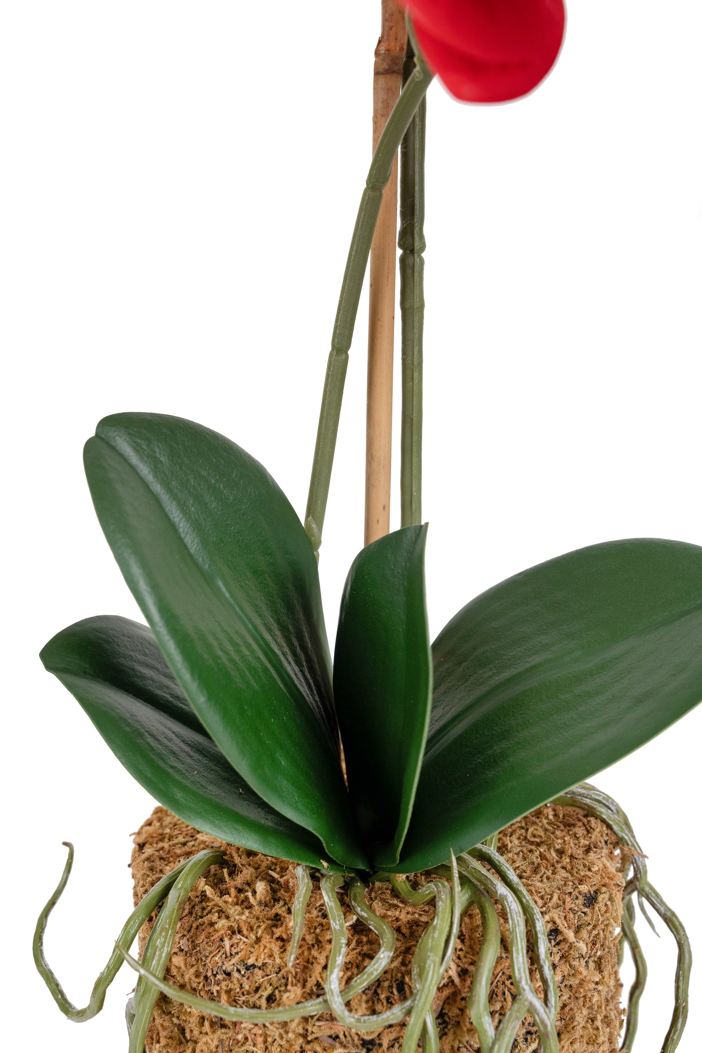 Orhidee artificiala rosie cu aspect natural H52 cm cu 2 tulpini