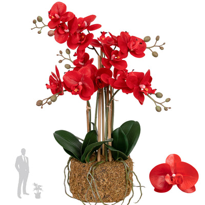 Orhidee artificiala rosie cu aspect natural H52 cm cu 5 tulpini