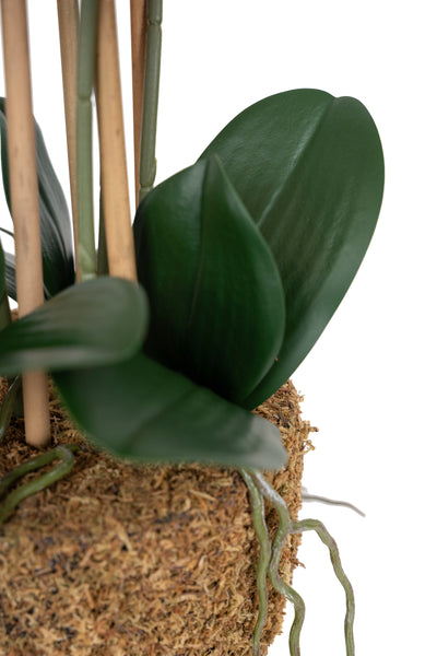 Orhidee artificiala rosie cu aspect natural H52 cm cu 5 tulpini