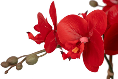 Orhidee artificiala rosie cu aspect natural H52 cm cu 5 tulpini