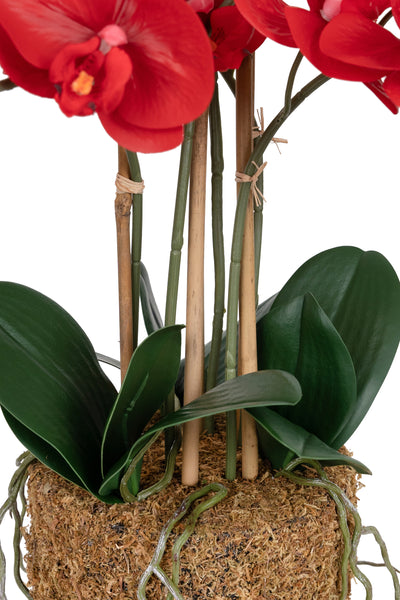 Orhidee artificiala rosie cu aspect natural H52 cm cu 5 tulpini