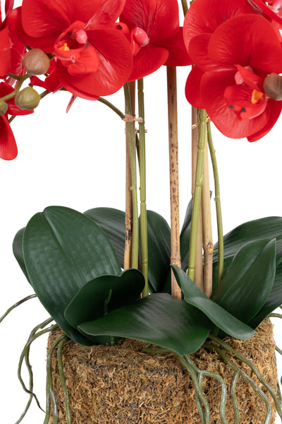 Orhidee artificiala rosie cu aspect natural H62 cm cu 6 tulpini