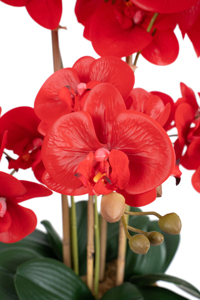 Orhidee artificiala rosie cu aspect natural H62 cm cu 6 tulpini