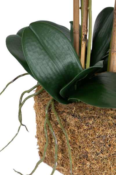 Orhidee artificiala rosie cu aspect natural H62 cm cu 6 tulpini