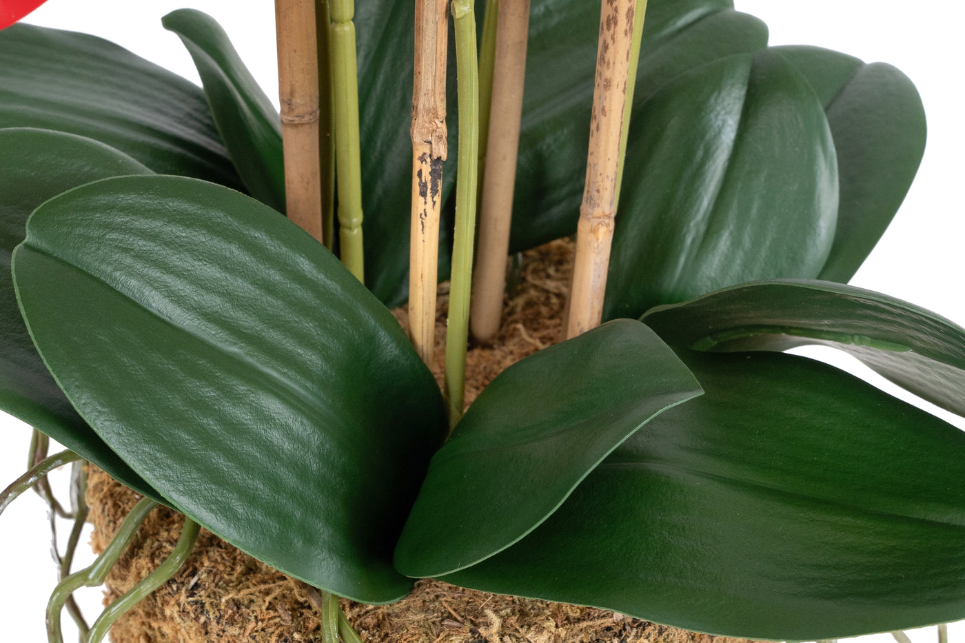 Orhidee artificiala rosie cu aspect natural H62 cm cu 6 tulpini