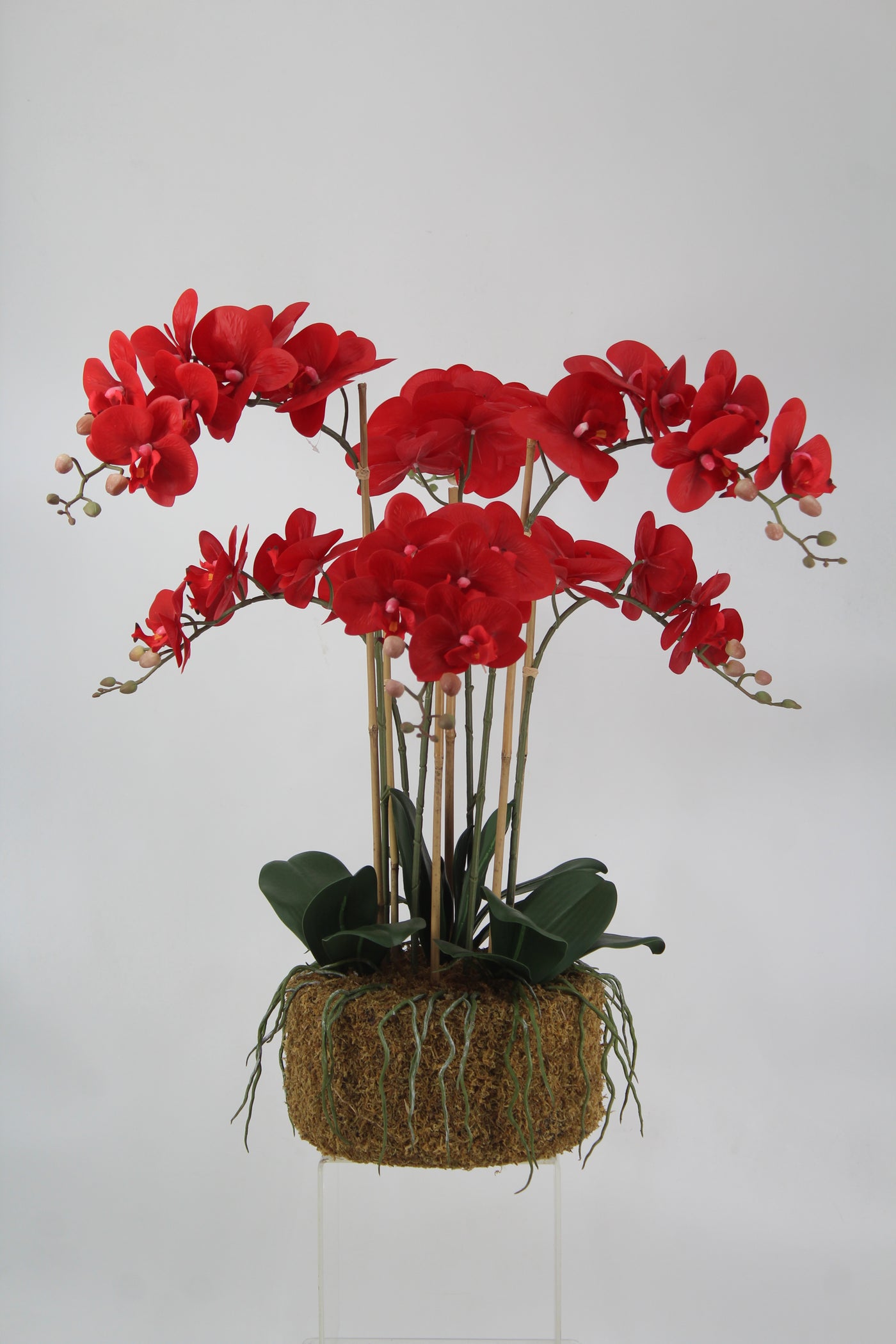Orhidee artificiala rosie cu aspect natural H72 cm cu 6 tulpini