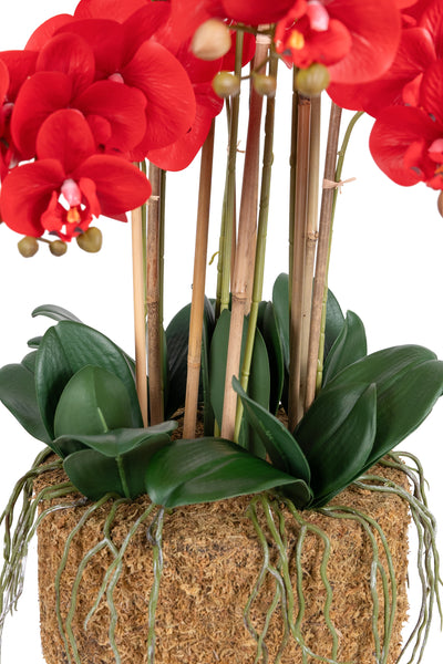 Orhidee artificiala rosie cu aspect natural H85 cm cu 9 tulpini