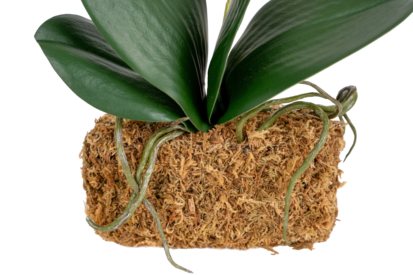 Orhidee artificiala roz cu alb cu aspect natural H36 cm cu 2 tulpini