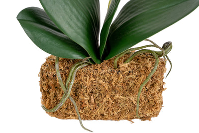 Orhidee artificiala roz cu alb cu aspect natural H36 cm cu 2 tulpini