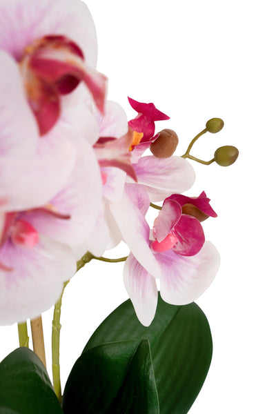 Orhidee artificiala roz cu alb cu aspect natural H36 cm cu 2 tulpini