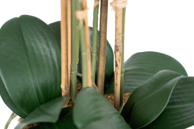 Orhidee artificiala roz cu alb cu aspect natural H54 cm cu 5 tulpini