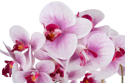 Orhidee artificiala roz cu alb cu aspect natural H80 cm cu 9 tulpini