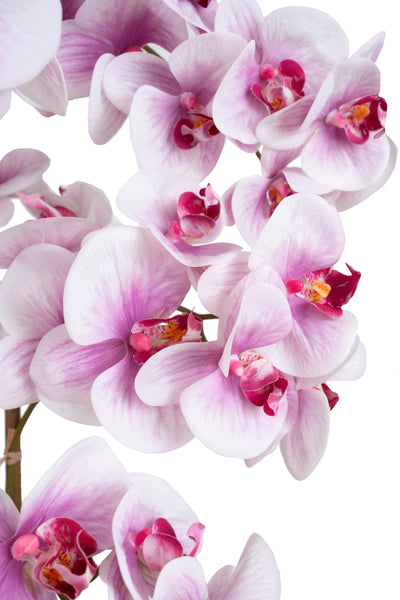 Orhidee artificiala roz cu alb cu aspect natural H80 cm cu 9 tulpini