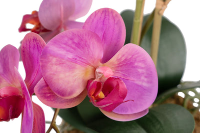 Orhidee artificiala roz cu aspect natural H54 cm cu 3 tulpini