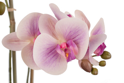 Orhidee artificiala roz cu aspect natural H54 cm cu 3 tulpini