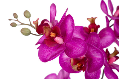 Orhidee artificiala roz cu aspect natural H54 cm cu 5 tulpini