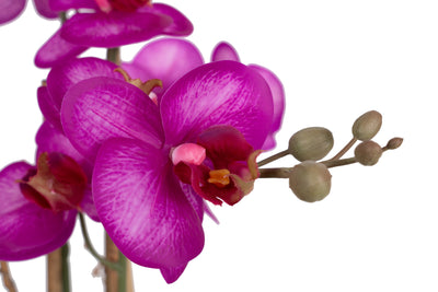 Orhidee artificiala roz cu aspect natural H54 cm cu 5 tulpini