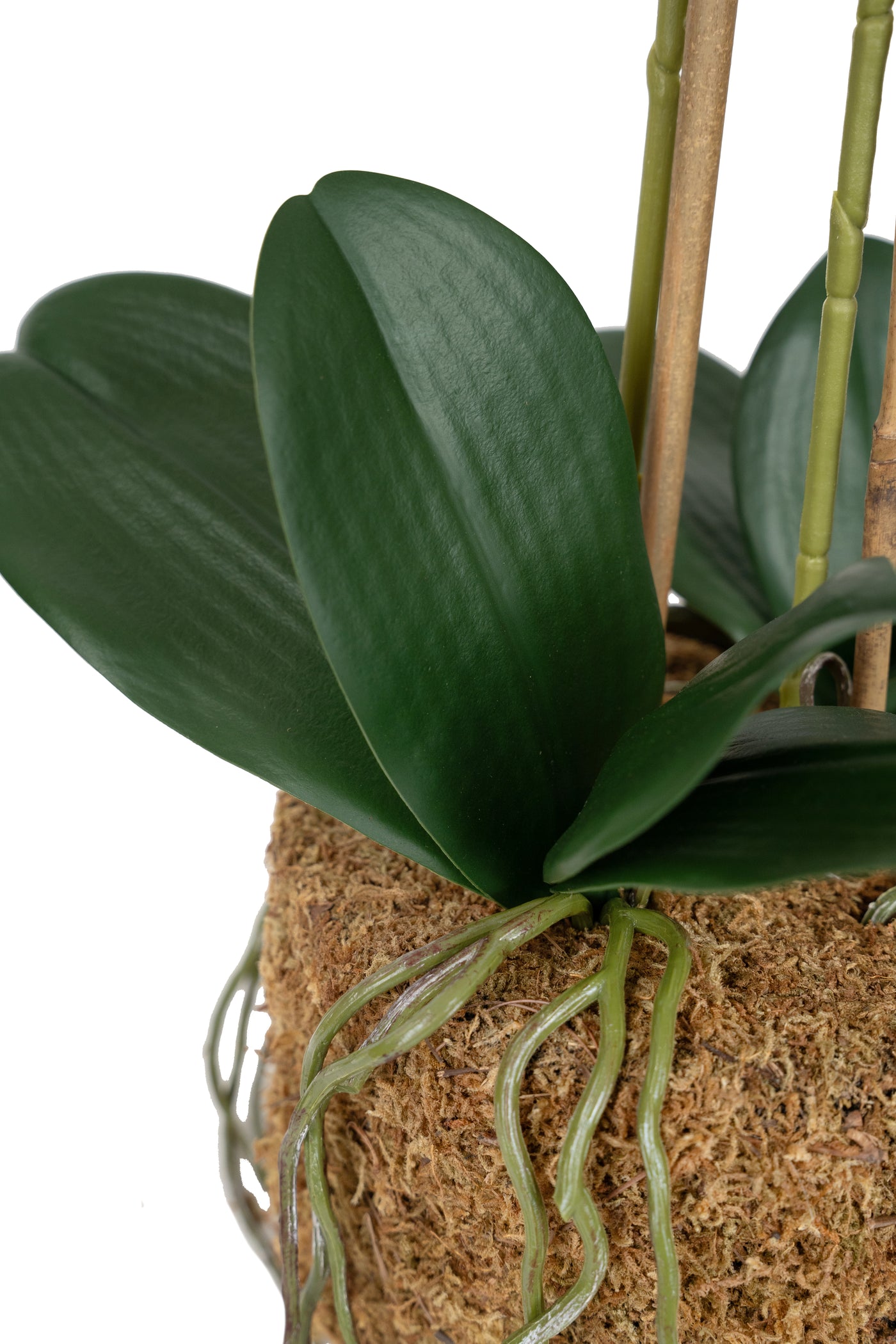 Orhidee artificiala roz cu aspect natural H56 cm cu 2 tulpini