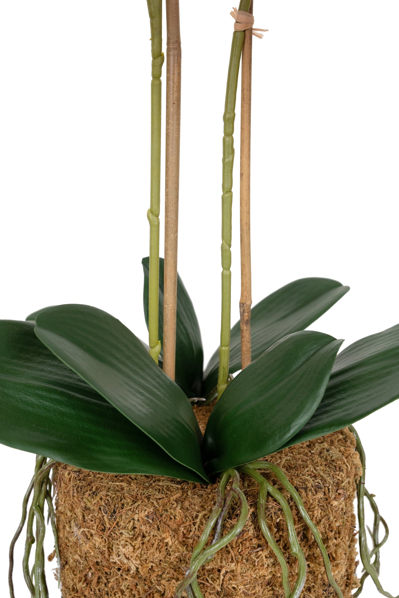 Orhidee artificiala roz cu aspect natural H56 cm cu 2 tulpini