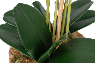 Orhidee artificiala roz cu aspect natural H59 cm cu 5 tulpini