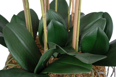 Orhidee artificiala roz cu aspect natural H66 cm cu 7 tulpini