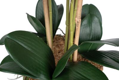 Orhidee artificiala roz cu aspect natural H71 cm cu 6 tulpini