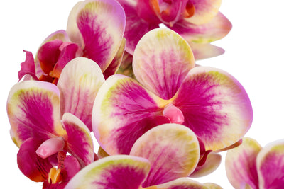 Orhidee artificiala roz cu galben cu aspect natural H61 cm cu 3 tulpini