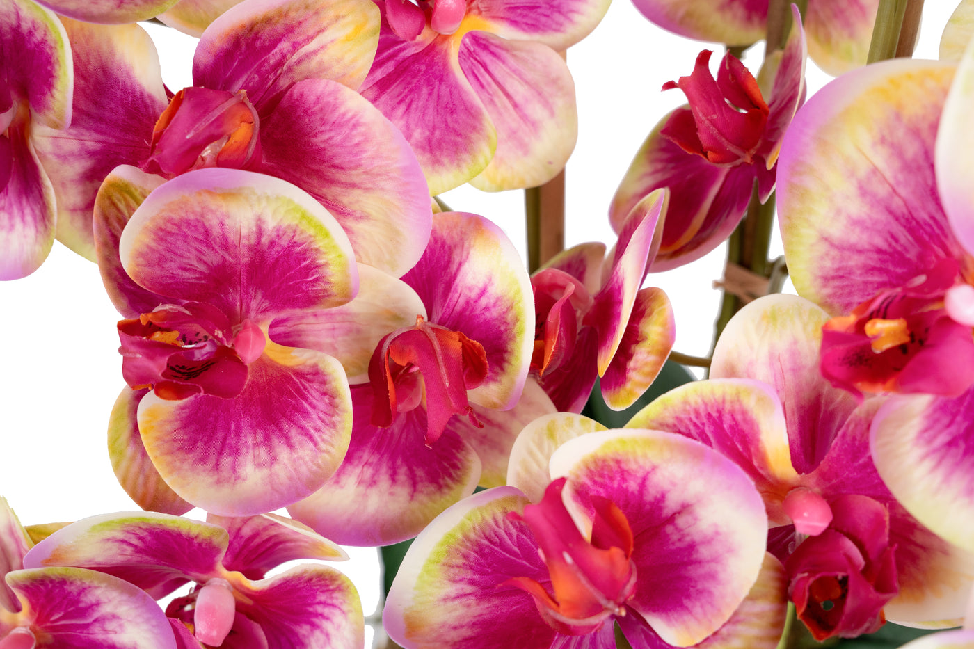 Orhidee artificiala roz cu galben cu aspect natural H66 cm cu 9 tulpini