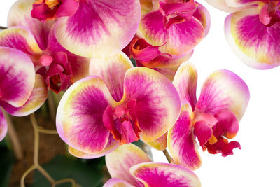 Orhidee artificiala roz cu galben cu aspect natural H66 cm cu 9 tulpini