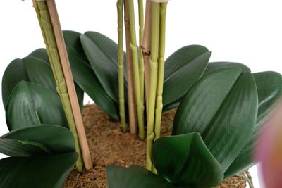 Orhidee artificiala roz cu galben cu aspect natural H66 cm cu 9 tulpini