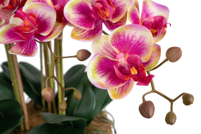 Orhidee artificiala roz cu galben cu aspect natural H66 cm cu 9 tulpini