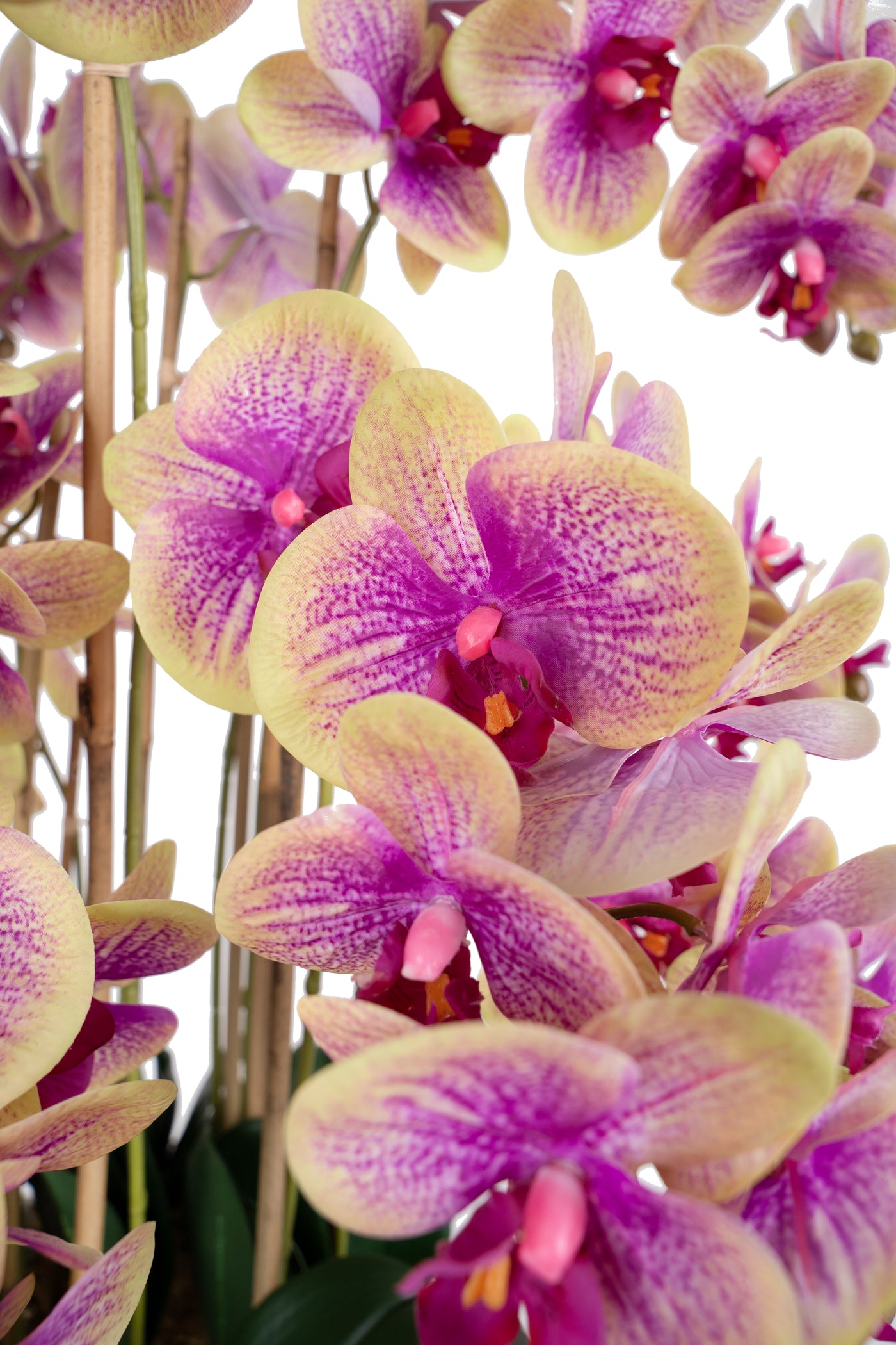 Orhidee artificiala roz cu galben cu aspect natural H85 cm cu 9 tulpini