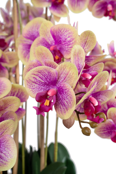 Orhidee artificiala roz cu galben cu aspect natural H85 cm cu 9 tulpini