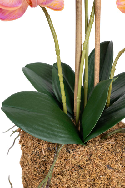 Orhidee artificiala roz cu portocaliu cu aspect natural H55 cm cu 4 tulpini