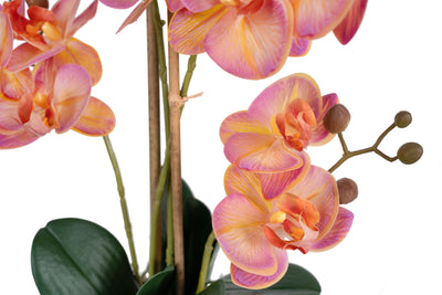 Orhidee artificiala roz cu portocaliu cu aspect natural H55 cm cu 4 tulpini