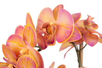 Orhidee artificiala roz cu portocaliu cu aspect natural H61 cm cu 3 tulpini