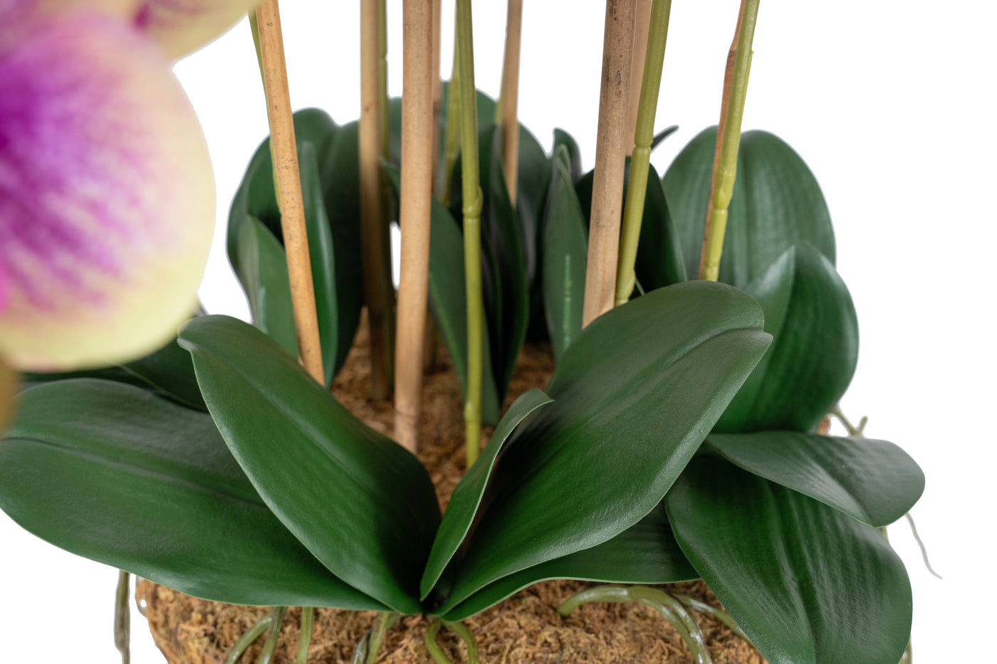 Orhidee artificiala roz cu verde cu aspect natural H85 cm cu 9 tulpini