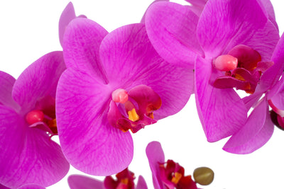 Orhidee artificiala roz intens cu aspect natural H71 cm cu 6 tulpini