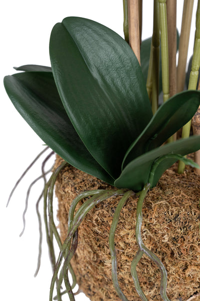 Orhidee artificiala roz intens cu aspect natural H71 cm cu 6 tulpini