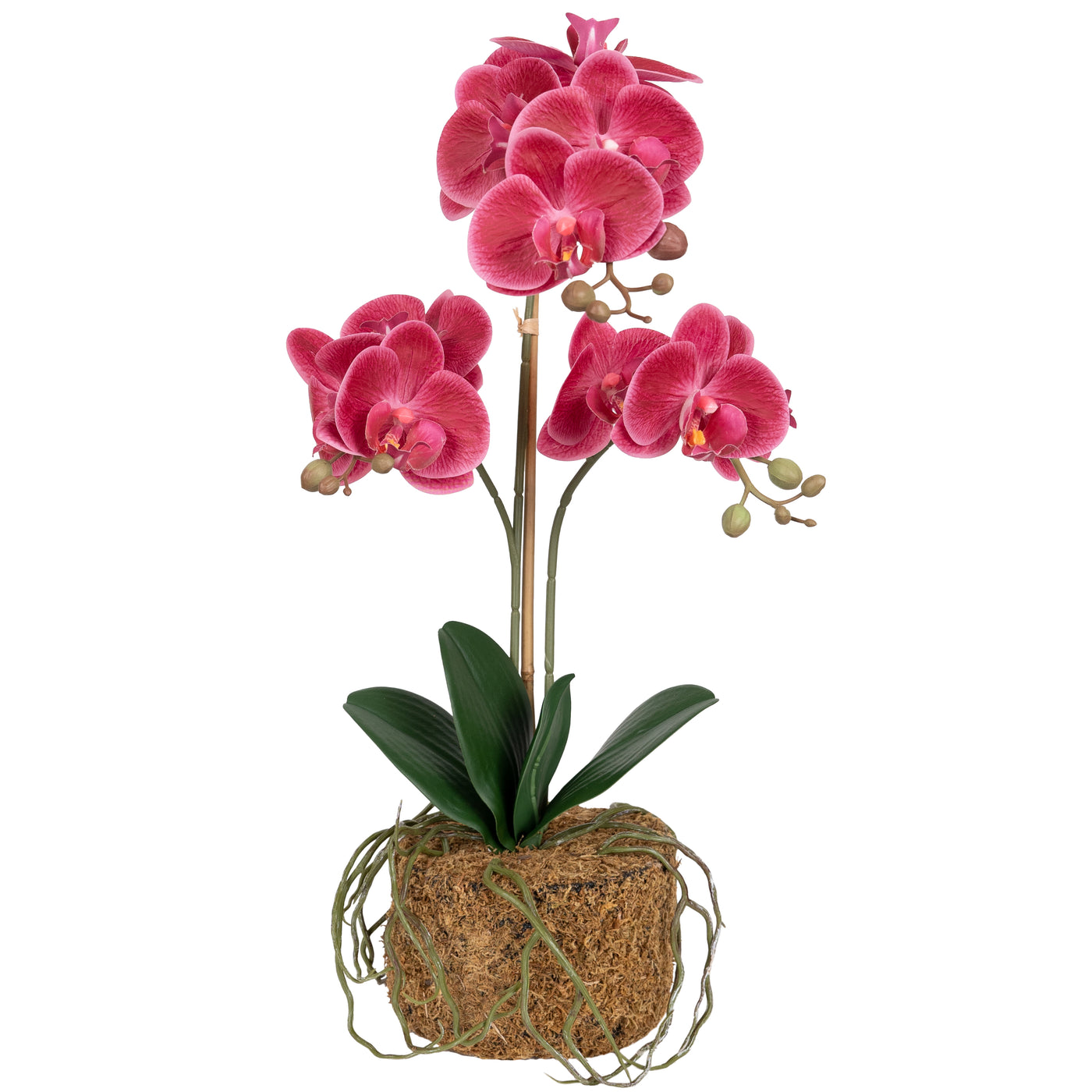 Orhidee artificiala roz-magenta cu aspect natural H53 cm cu 2 tulpini si 3 ramificatii