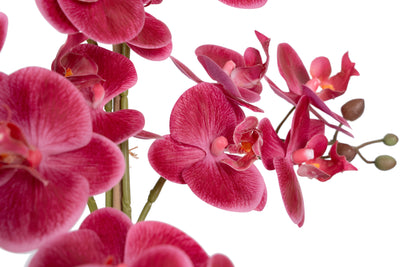 Orhidee artificiala roz-magenta cu aspect natural H59 cm cu 5 tulpini