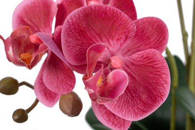 Orhidee artificiala roz-magenta cu aspect natural H59 cm cu 5 tulpini