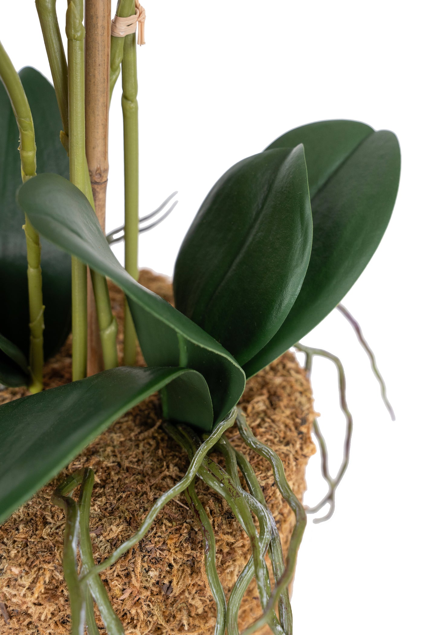 Orhidee artificiala roz-magenta cu aspect natural H59 cm cu 5 tulpini