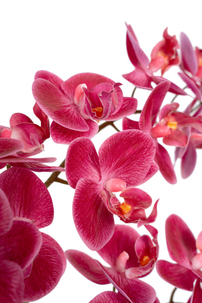 Orhidee artificiala roz-magenta cu aspect natural H59 cm cu 5 tulpini