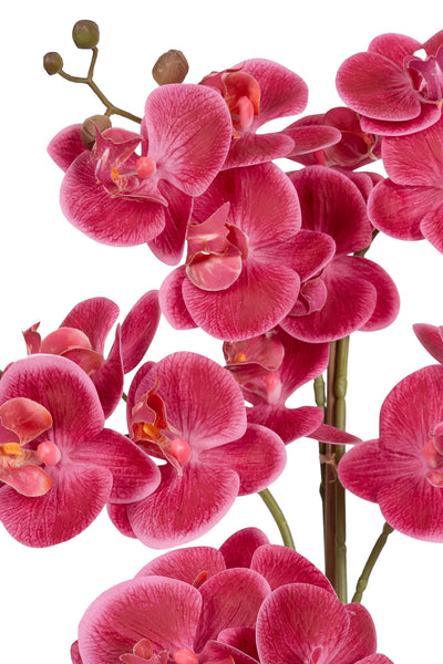 Orhidee artificiala roz-magenta cu aspect natural H59 cm cu 5 tulpini